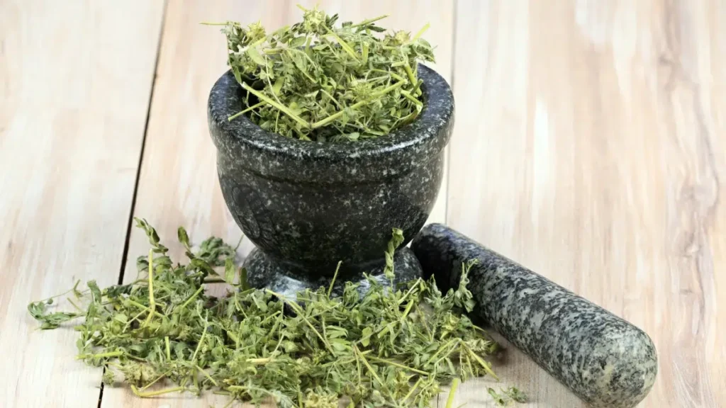 Herbs For Erection​