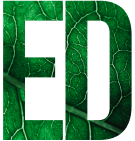 Erectile Dysfunction 