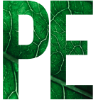 Premature Ejaculation 